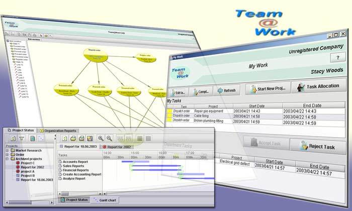 Team@Work Professional Edition Screenshot